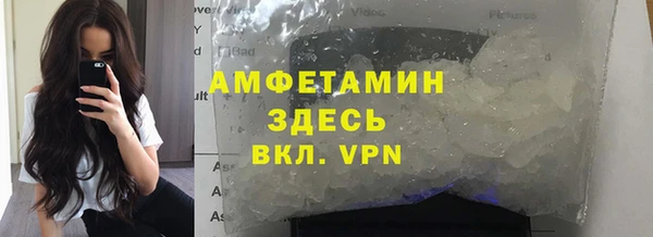 стаф Аркадак
