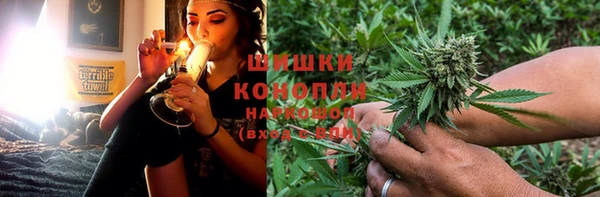 эйфоретик Арсеньев