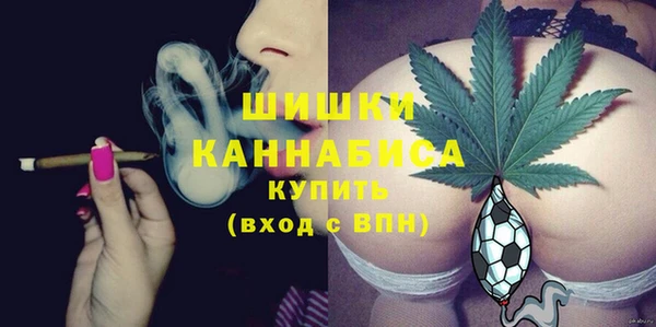стаф Аркадак